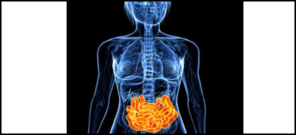 Síndrome do intestino Irritável546